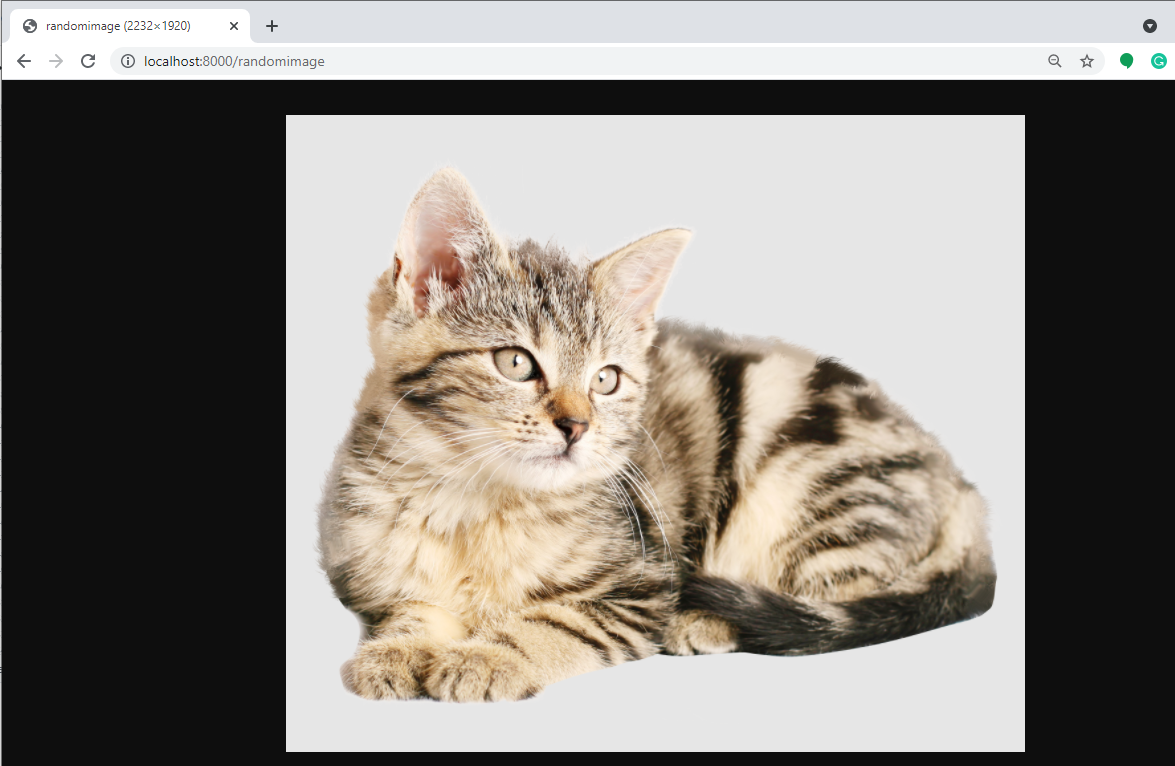Django Routing Sample - Browser output